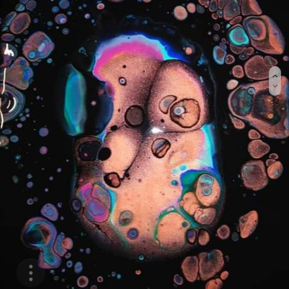 Meet your Posher, Nathaniel - Picture 6 of 7